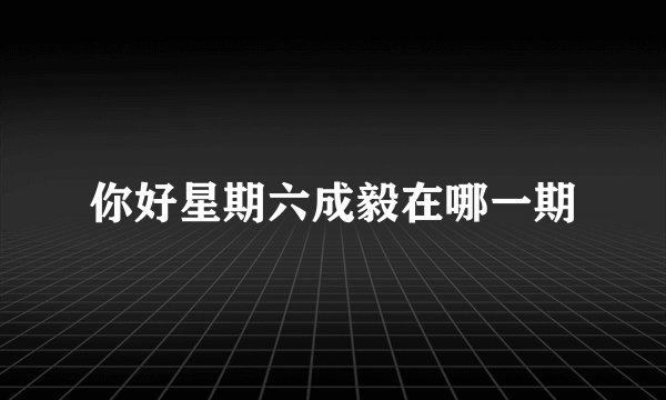 你好星期六成毅在哪一期