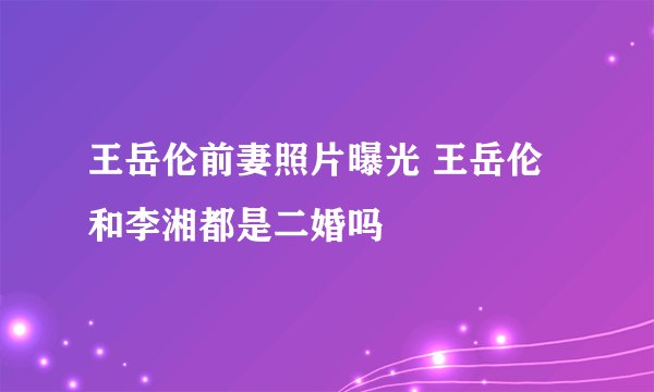 王岳伦前妻照片曝光 王岳伦和李湘都是二婚吗