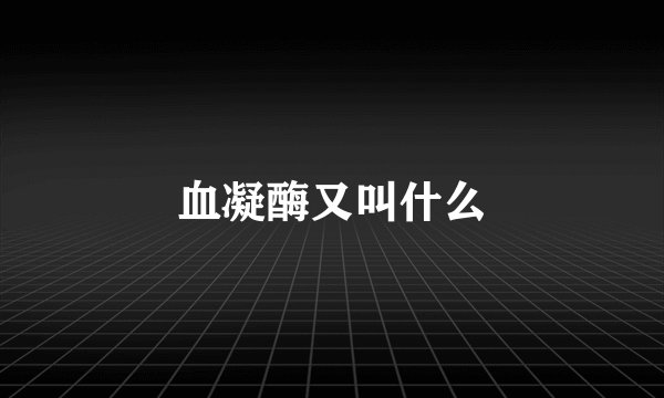 血凝酶又叫什么