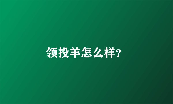 领投羊怎么样？