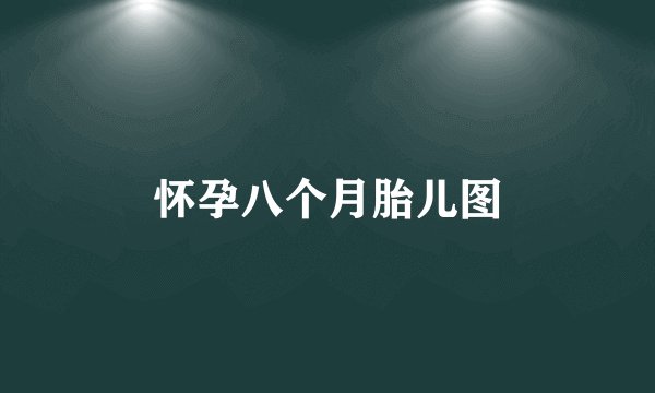 怀孕八个月胎儿图