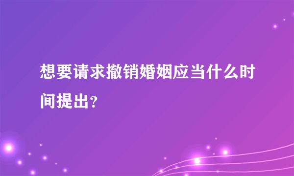想要请求撤销婚姻应当什么时间提出?