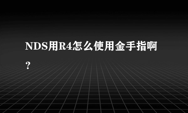 NDS用R4怎么使用金手指啊?