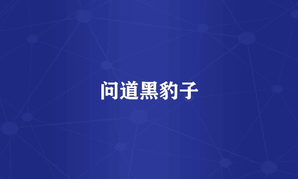 问道黑豹子