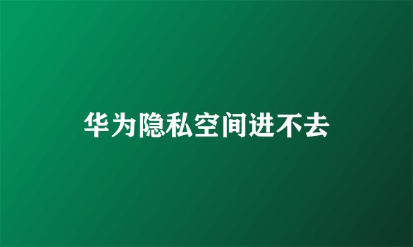 华为隐私空间进不去