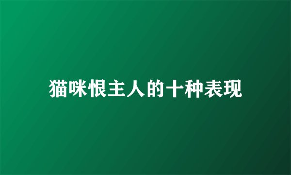 猫咪恨主人的十种表现