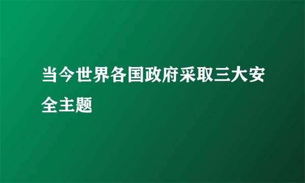 当今世界各国政府采取三大安全主题