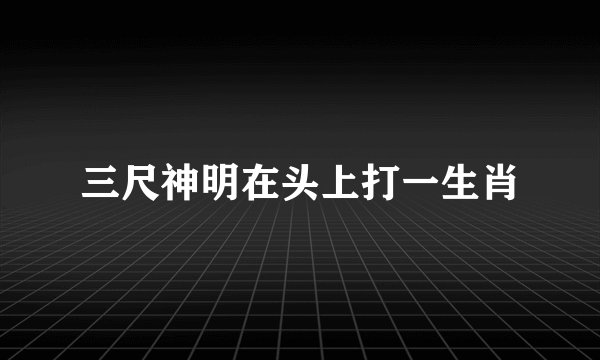 三尺神明在头上打一生肖