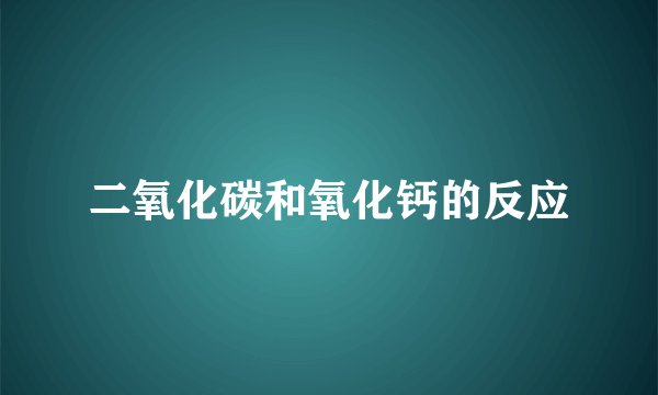 二氧化碳和氧化钙的反应
