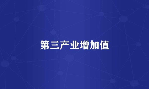 第三产业增加值
