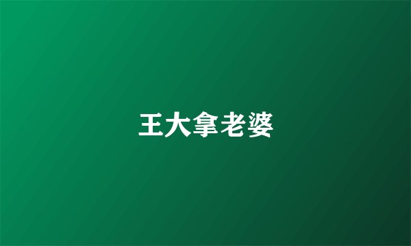 王大拿老婆