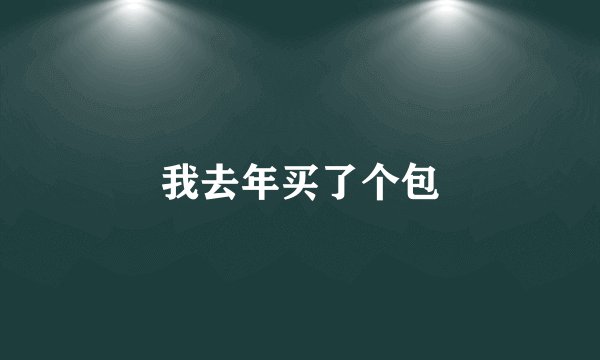 我去年买了个包