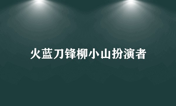 火蓝刀锋柳小山扮演者