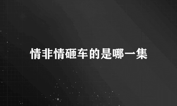 情非情砸车的是哪一集