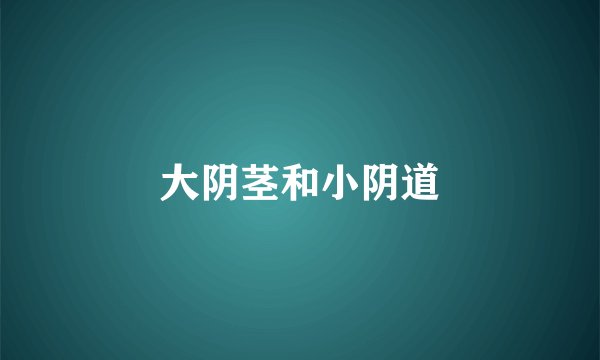 大阴茎和小阴道