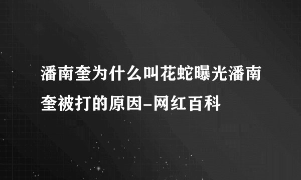 潘南奎为什么叫花蛇曝光潘南奎被打的原因-网红百科