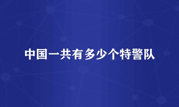 中国一共有多少个特警队
