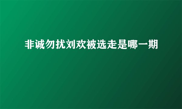 非诚勿扰刘欢被选走是哪一期