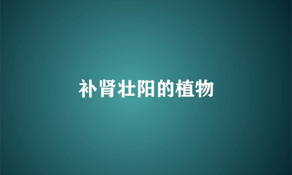 补肾壮阳的植物