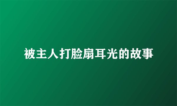 被主人打脸扇耳光的故事