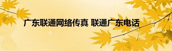 广东联通网络传真 联通广东电话
