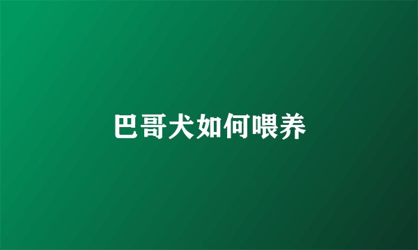 巴哥犬如何喂养