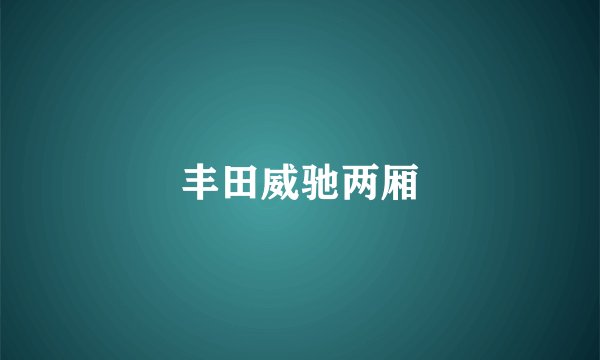 丰田威驰两厢