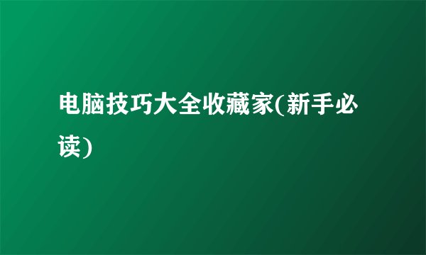 电脑技巧大全收藏家(新手必读)