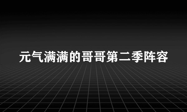 元气满满的哥哥第二季阵容