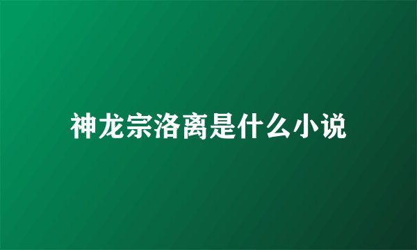神龙宗洛离是什么小说