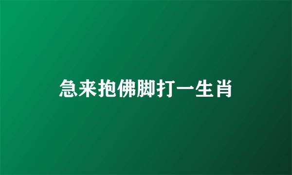 急来抱佛脚打一生肖