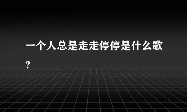 一个人总是走走停停是什么歌？