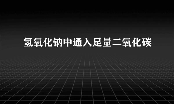 氢氧化钠中通入足量二氧化碳