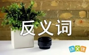 熟练的反义词