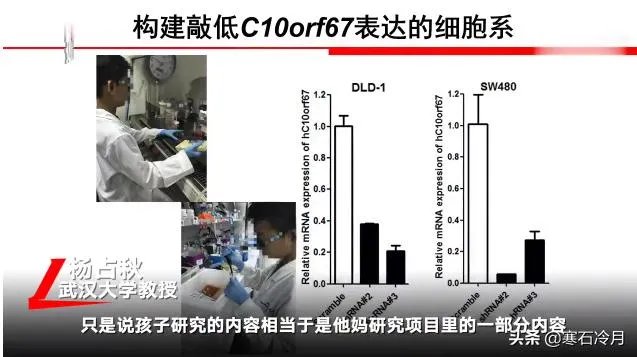 小学生研究癌症获奖遭质疑,一等奖撤销。青少年该不该搞科研?