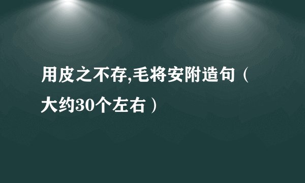 用皮之不存,毛将安附造句（大约30个左右）