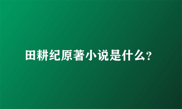 田耕纪原著小说是什么？