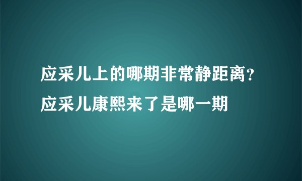 应采儿上的哪期非常静距离？应采儿康熙来了是哪一期