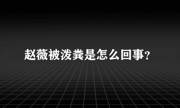 赵薇被泼粪是怎么回事?