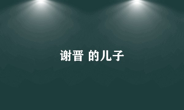 谢晋 的儿子