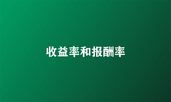 收益率和报酬率