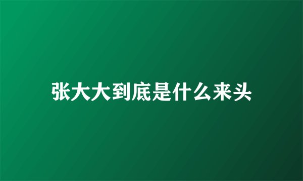 张大大到底是什么来头