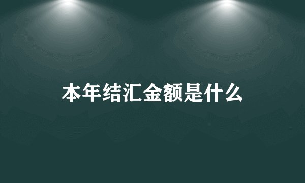 本年结汇金额是什么