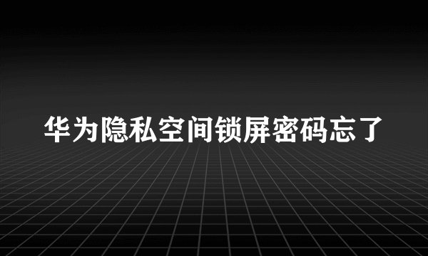 华为隐私空间锁屏密码忘了