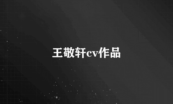 王敬轩cv作品