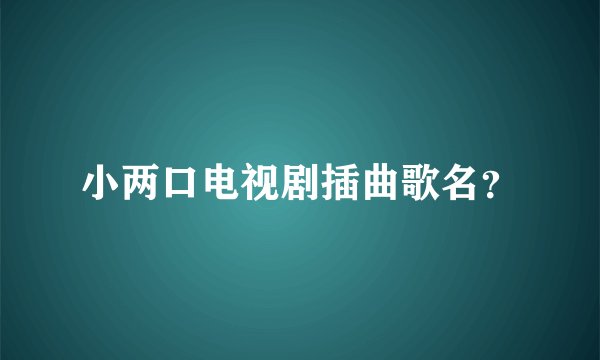 小两口电视剧插曲歌名？