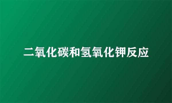 二氧化碳和氢氧化钾反应