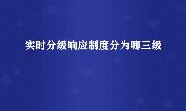 实时分级响应制度分为哪三级