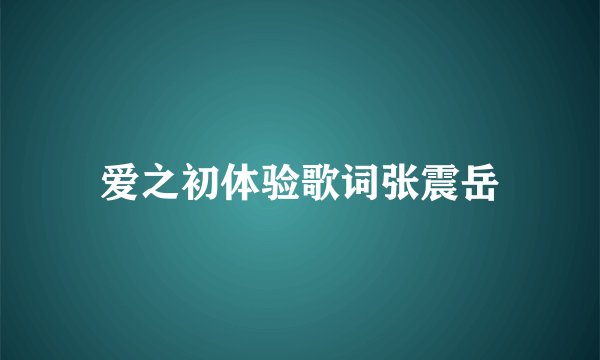 爱之初体验歌词张震岳