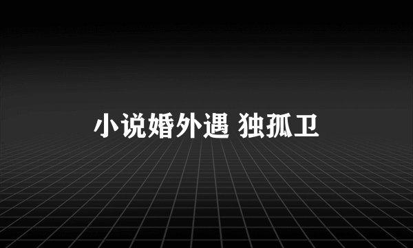 小说婚外遇 独孤卫